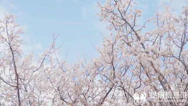 0e44f5c05b46773db0096371e95b252 0e44f5c05b46773db0096371e95b252