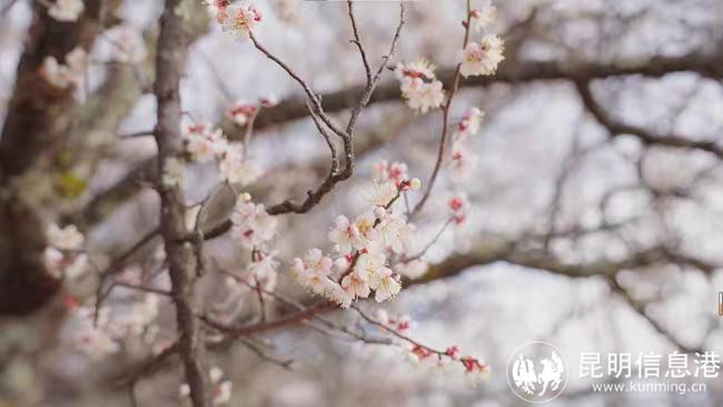 137eb295271eac544c184db52ffa064 137eb295271eac544c184db52ffa064