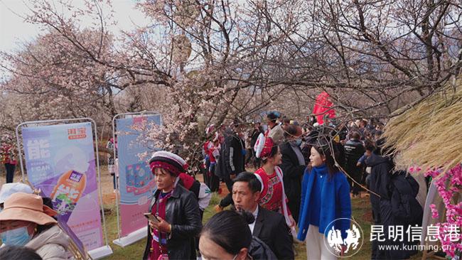 圖片04 拷貝 圖片04 拷貝