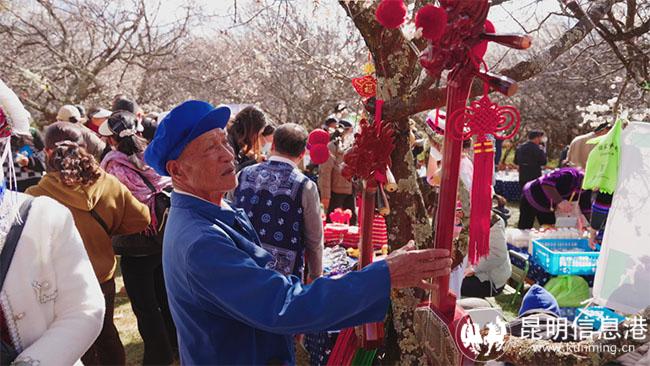 圖片010 拷貝 圖片010 拷貝