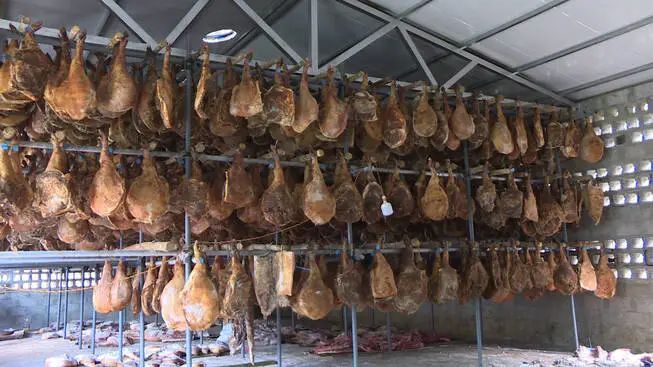 微信圖片_20230207160019