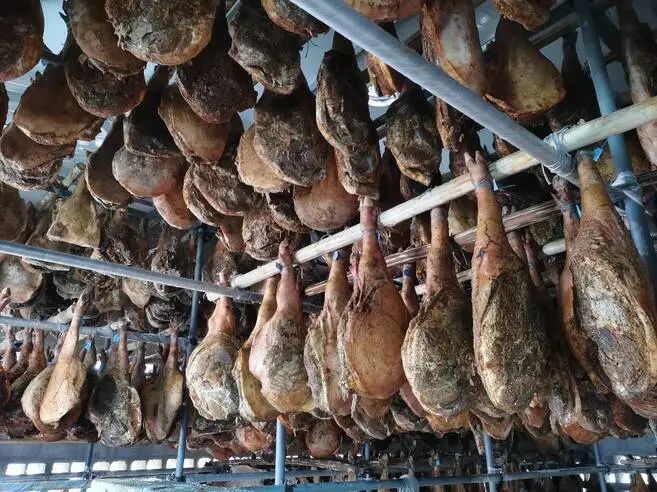 微信圖片_20230207160027