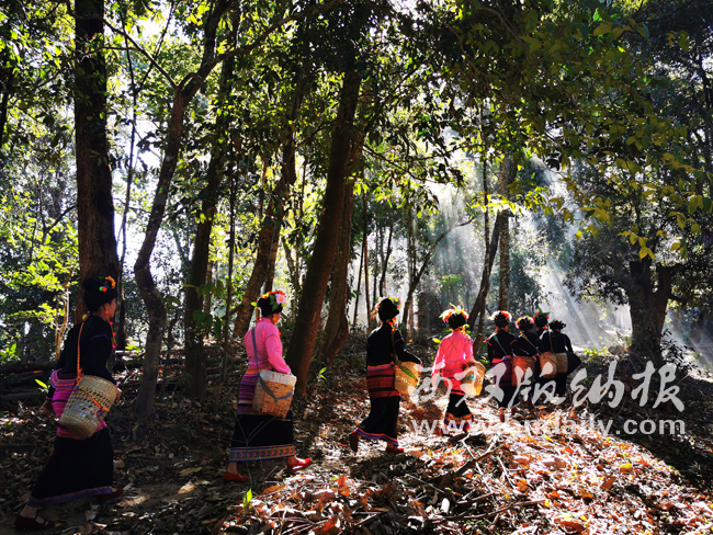 0206-02SZZH-016-382738-原文件 0206-02SZZH-016-382738-原文件