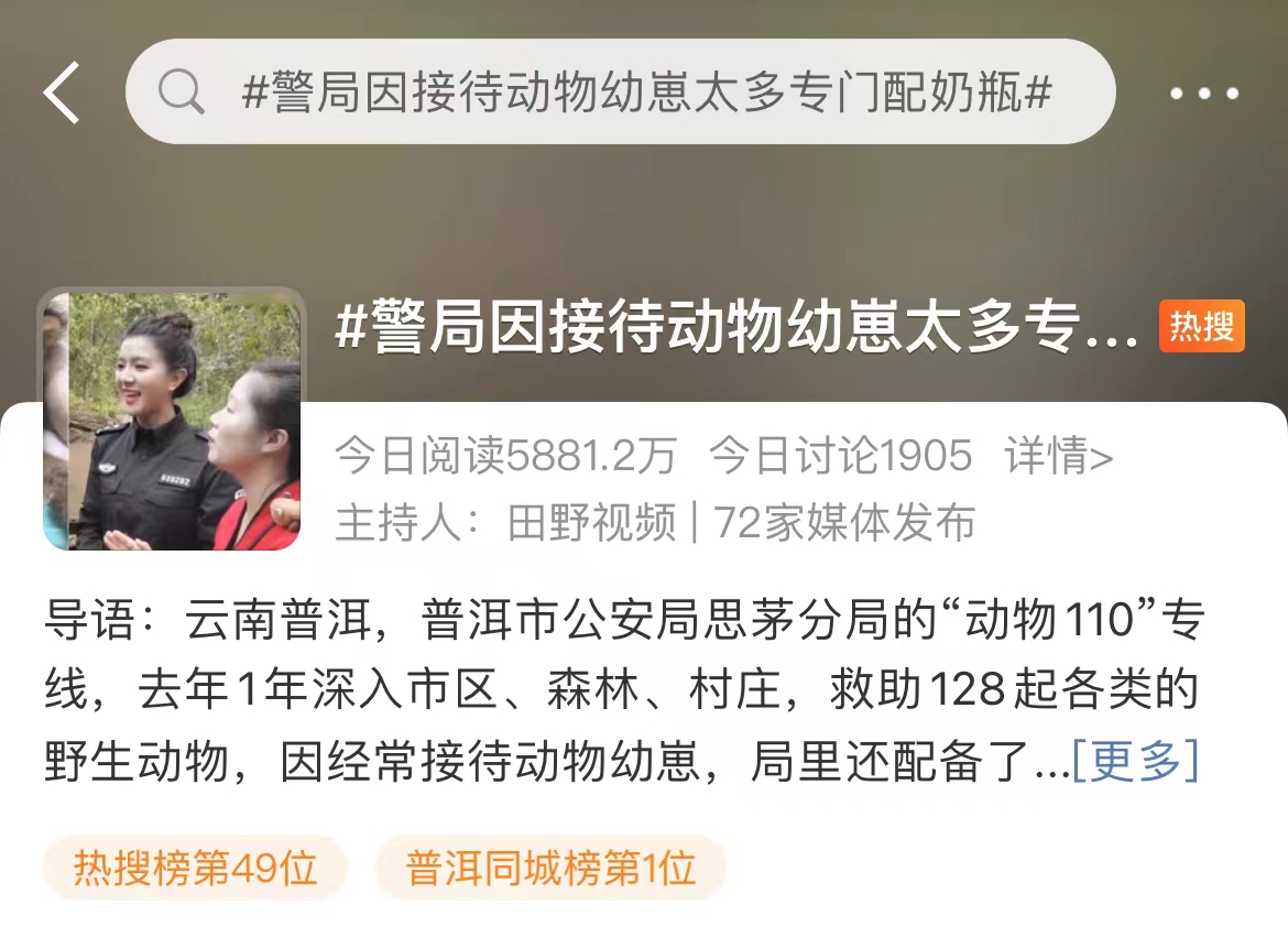 救助新小動(dòng)物