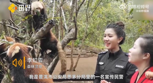 救助新小動(dòng)物