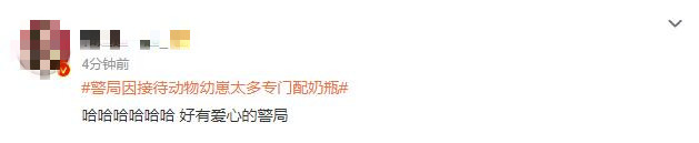 救助新小動(dòng)物