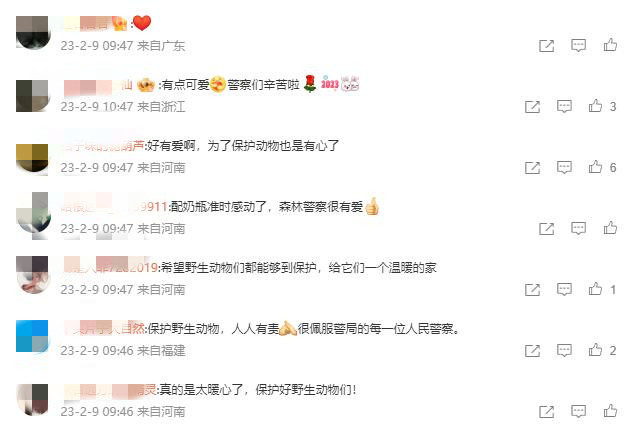 救助新小動(dòng)物