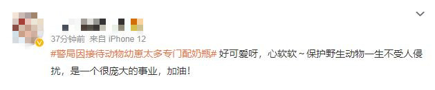 救助新小動(dòng)物