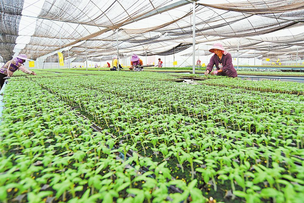 微信圖片_202302100852521 微信圖片_202302100852521