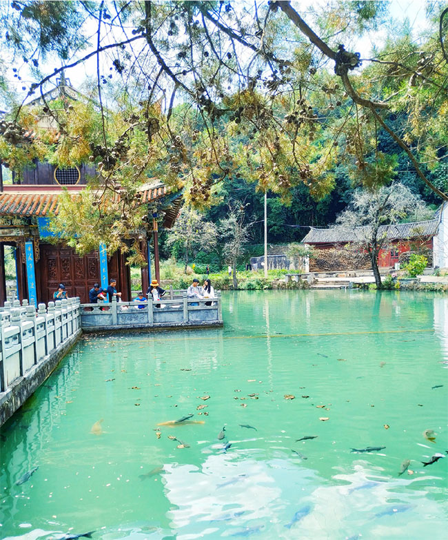 圖片22 拷貝 圖片22 拷貝