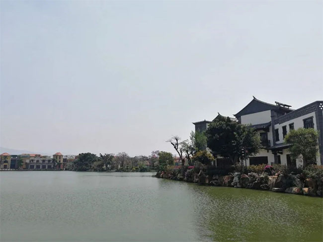 圖片32 拷貝 圖片32 拷貝