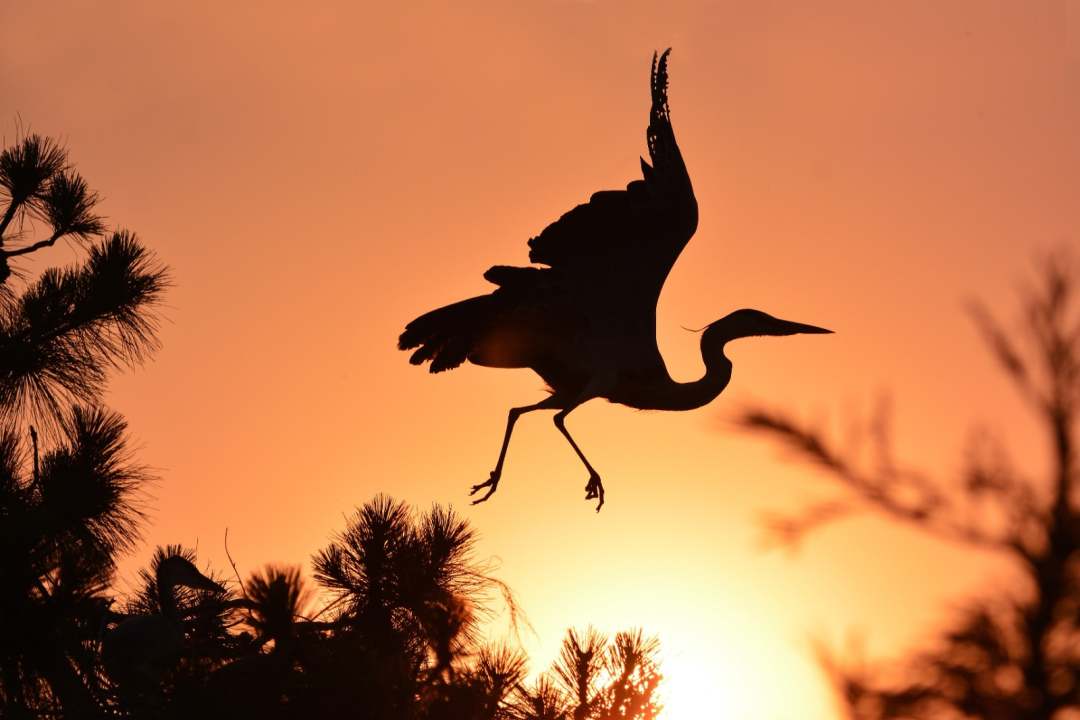 1675839744442259.jpg?x-oss-process=style/w10