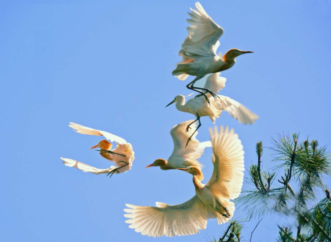 1675839743217501.jpg?x-oss-process=style/w10