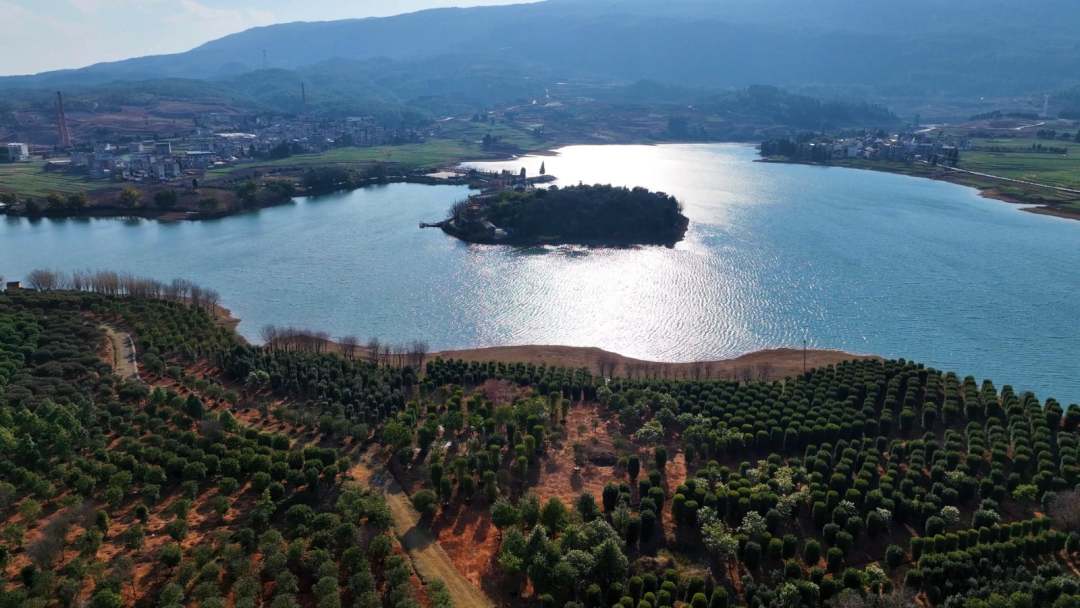 1675839745651642.jpg?x-oss-process=style/w10