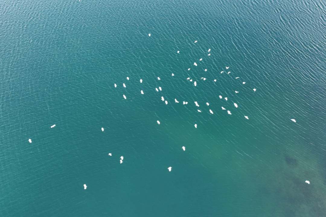 1675839745659226.jpg?x-oss-process=style/w10