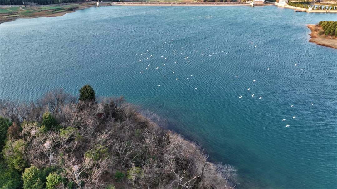 1675839746777337.jpg?x-oss-process=style/w10