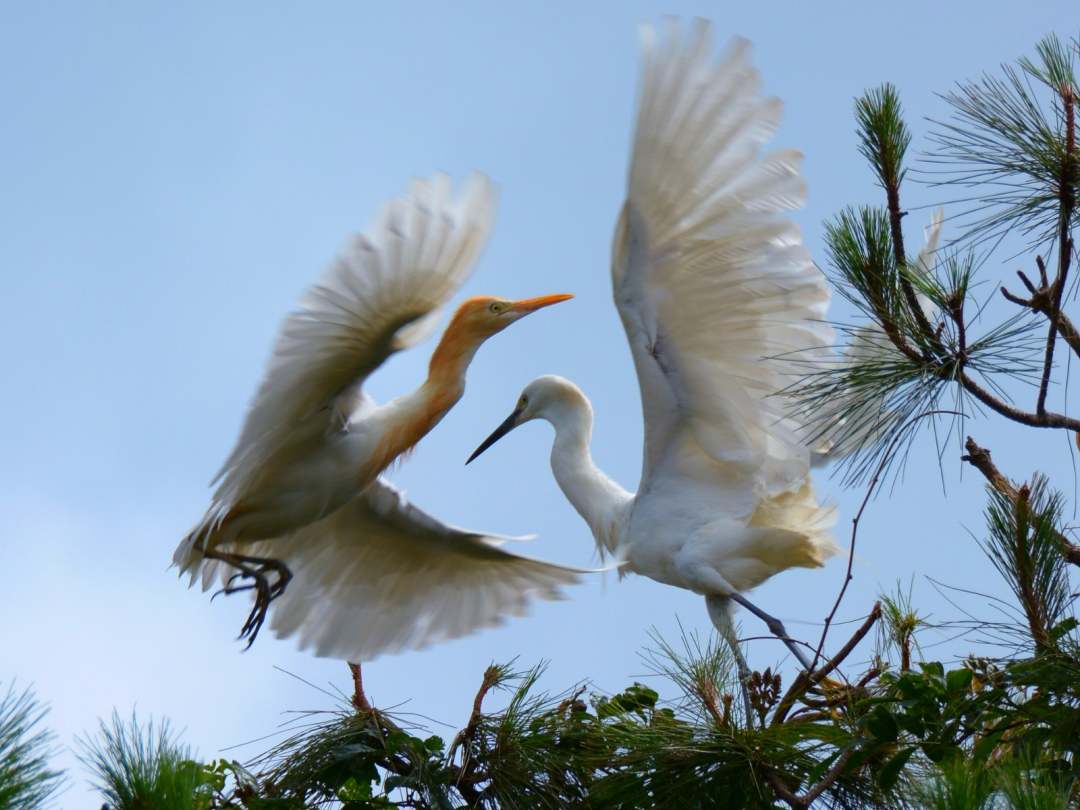 1675839747218611.jpg?x-oss-process=style/w10