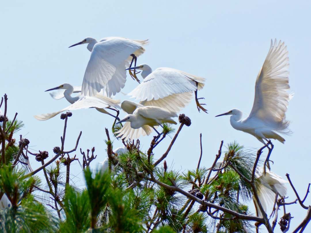 1675839748358481.jpg?x-oss-process=style/w10