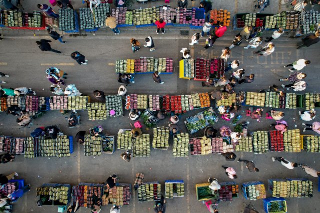 情人節(jié)浪漫升溫 斗南日均游客量約2萬人 高品質(zhì)玫瑰最高成交價(jià)單枝超10元 3.jpg
