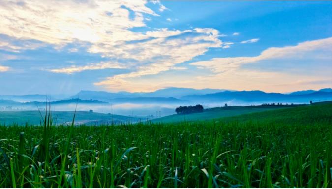 1676339126259951.jpg 01.jpg