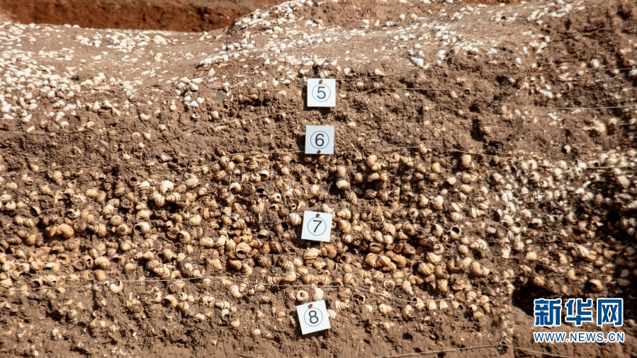 南古城村遺址發(fā)現(xiàn)完整的商周時期環(huán)壕聚落