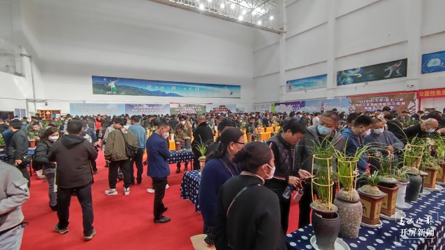 交易火爆！第十三屆中國(guó)（大理）國(guó)際蘭花茶花博覽會(huì)開(kāi)幕 春城晚報(bào)-開(kāi)屏新聞?dòng)浾?楊維琦 楊茜 攝影報(bào)道4.jpg