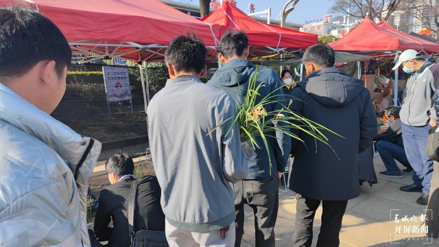 交易火爆！第十三屆中國(guó)（大理）國(guó)際蘭花茶花博覽會(huì)開(kāi)幕 春城晚報(bào)-開(kāi)屏新聞?dòng)浾?楊維琦 楊茜 攝影報(bào)道10.jpg