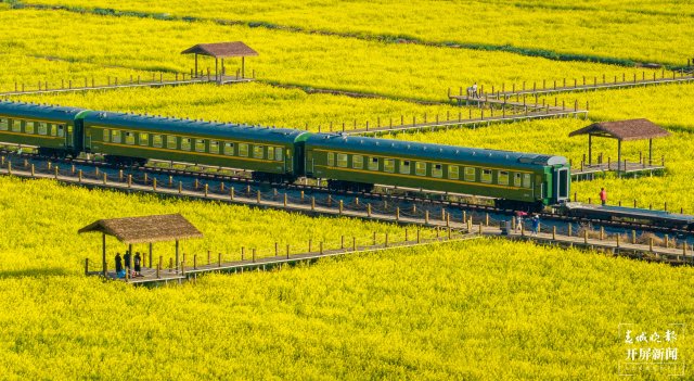 沙堤余家溝下村的油菜花海(宋光旭攝) (5).jpg