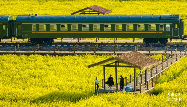 沙堤余家溝下村的油菜花海(宋光旭攝) (9).jpg