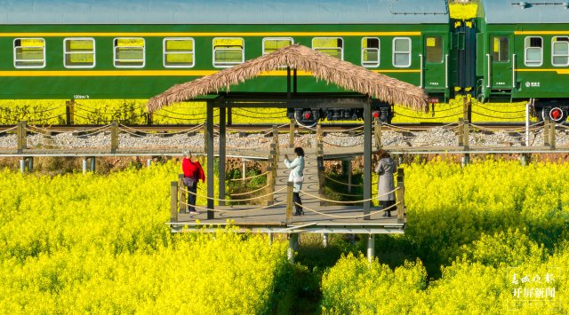沙堤余家溝下村的油菜花海(宋光旭攝) (7).jpg