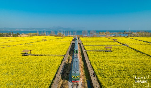沙堤余家溝下村的油菜花海(宋光旭攝) (6).jpg