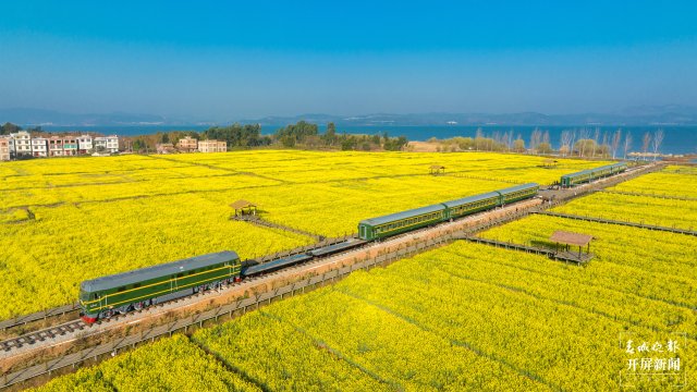 沙堤余家溝下村的油菜花海(宋光旭攝) (8).jpg