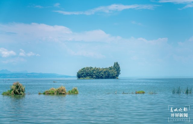 海埂村的鯨魚島 宋光旭攝.jpg