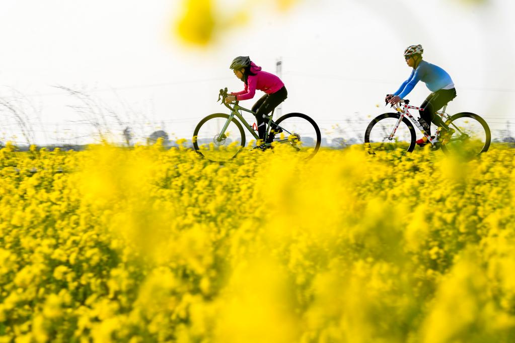 20230224989bb8e3cd0c457e8a68b12f44811693_202302249bff88c3d1874d96b19fb2b58bff3103 20230224989bb8e3cd0c457e8a68b12f44811693_202302249bff88c3d1874d96b19fb2b58bff3103