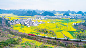 5ebe58b38f3ce88117b3fac449ccd833