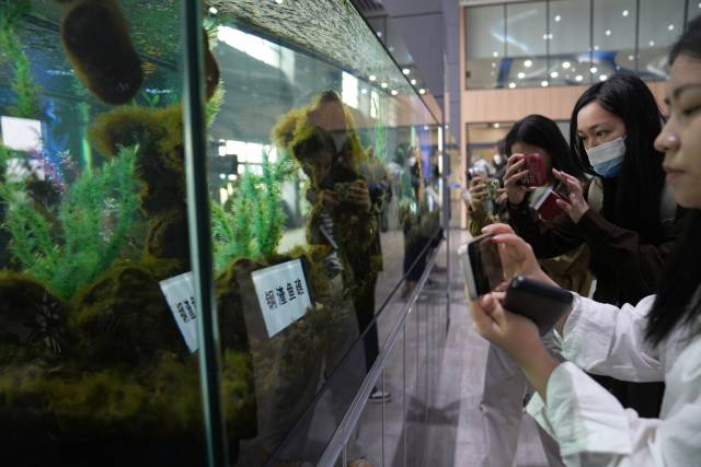 南方+ 姚志豪 拍攝 南方+ 姚志豪 拍攝