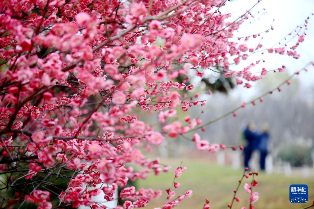 20230227d824a11a5396433eb85c5dd209d4a412_2023022700dd0fa83b7f42c3b3c18dd90da4f728