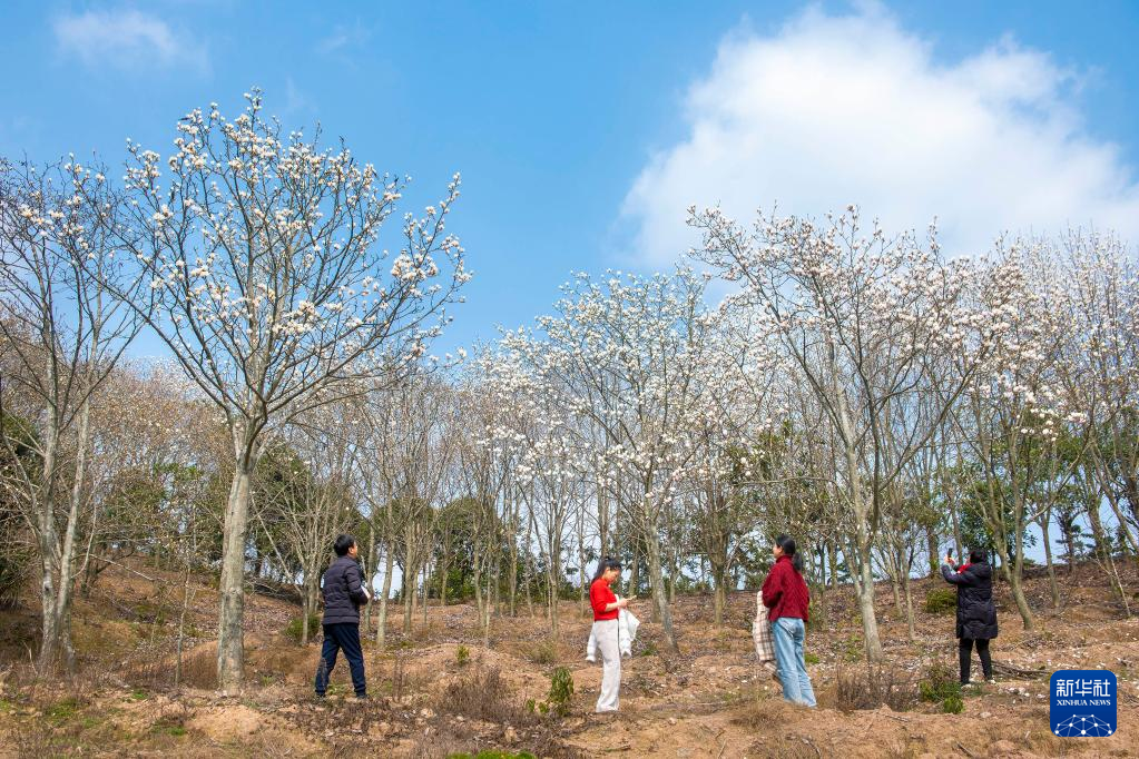 20230227d824a11a5396433eb85c5dd209d4a412_20230227a52a617cafd5463e93f425678dbfc462