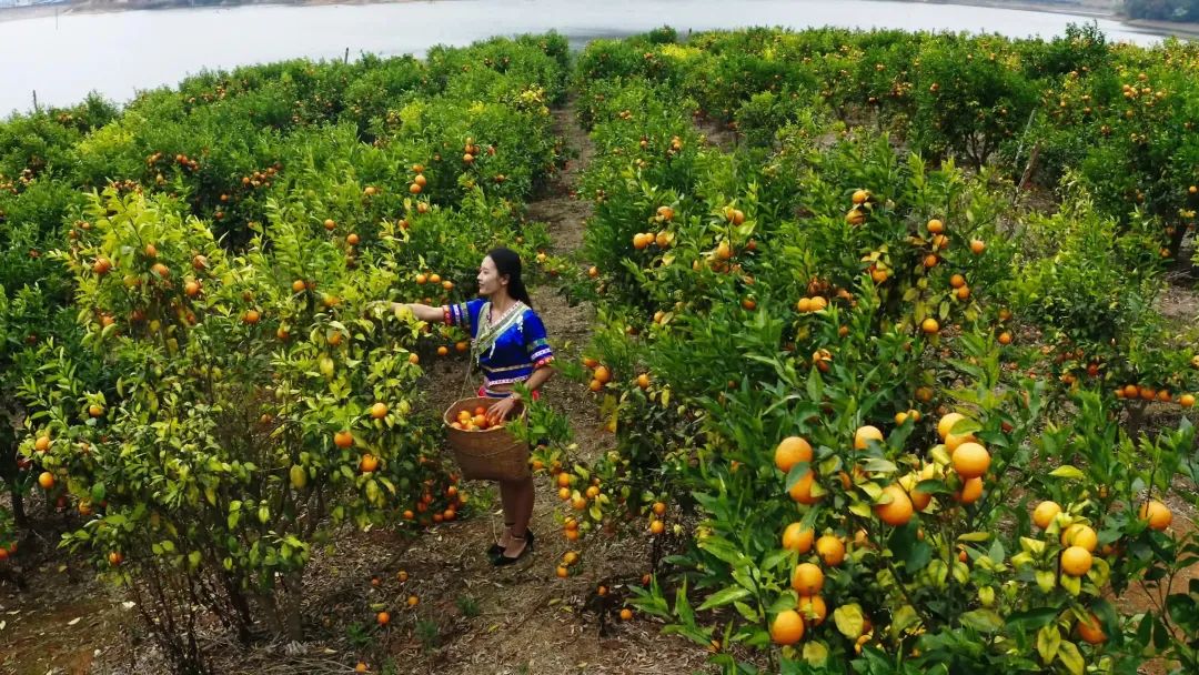 650DCB7DEE414A159A5204129E43AA95