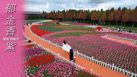 有一種叫云南的生活｜這個(gè)春天，總要來(lái)云南一趟吧！