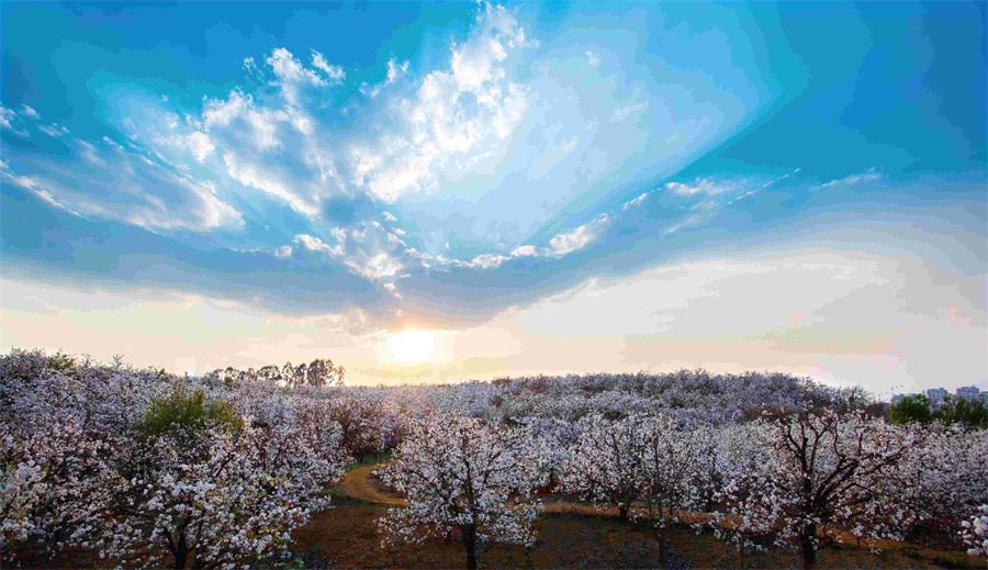 云報(bào)客戶端記者 張雁群 實(shí)習(xí)生 沈曉麗.jpg