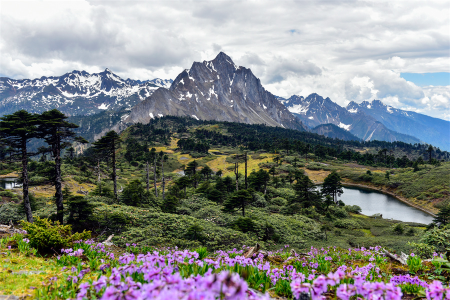 美麗孔雀山 張軍攝.jpg