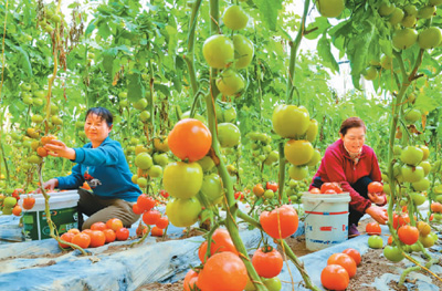 1678309775623_1 1678309775623_1