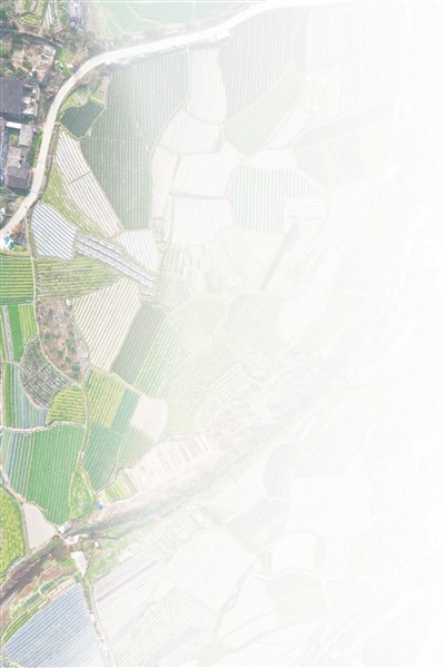 rmrbhwb2023030909p447_b