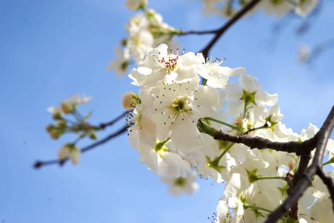 88C69B3B078447E6AF597C2DD03F0E7E 88C69B3B078447E6AF597C2DD03F0E7E