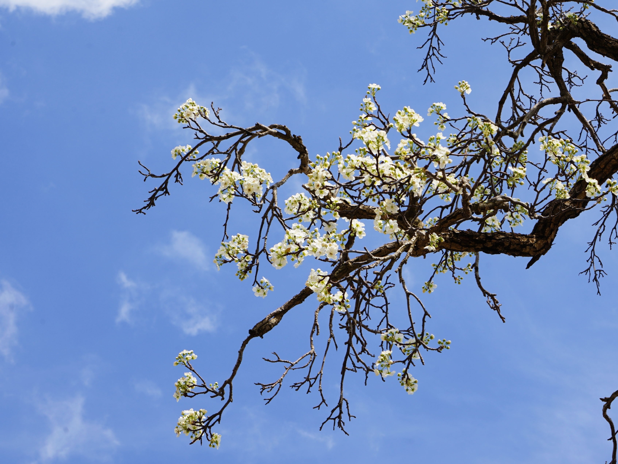 86c6ba389b5b89c9b59b81279622e1a8 86c6ba389b5b89c9b59b81279622e1a8