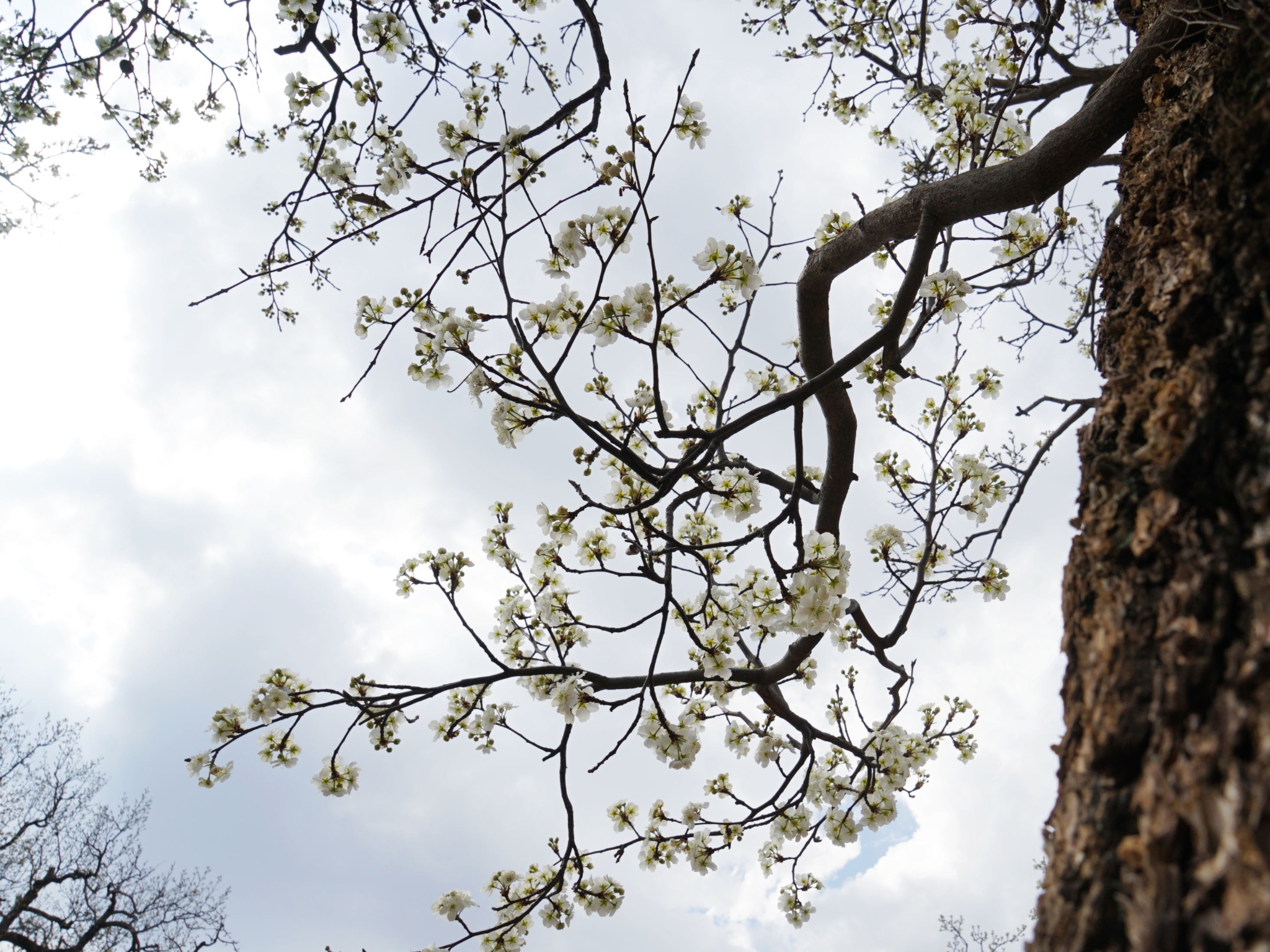 84bf0b6002f0c02a347dd0cc3e1b0bb8 84bf0b6002f0c02a347dd0cc3e1b0bb8