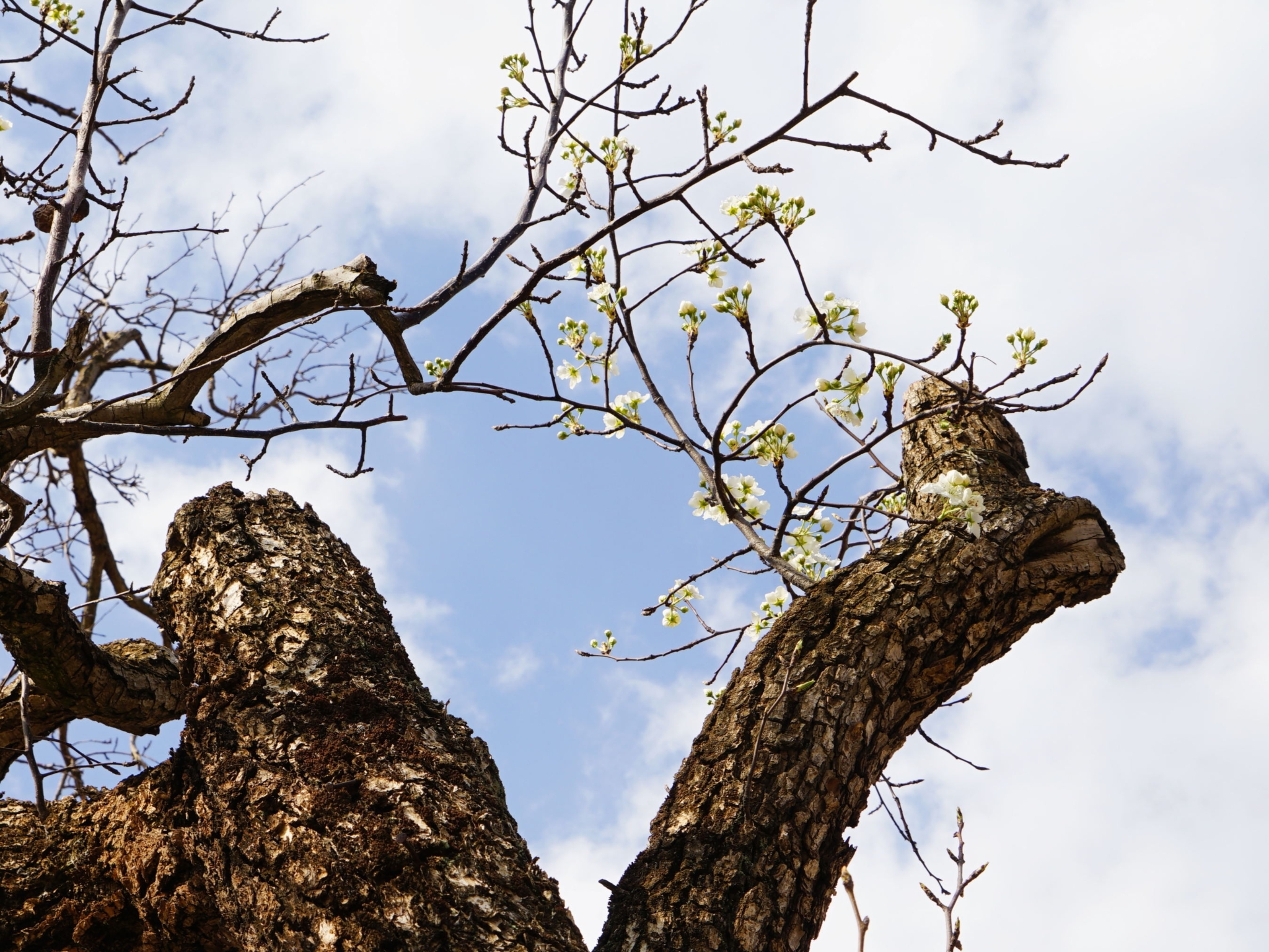 1dc56d43d8d9ef4c7f01407c9afa55aa 1dc56d43d8d9ef4c7f01407c9afa55aa