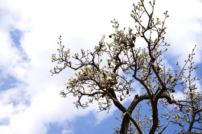 30BC233141F34EA7A1524AB49C54283B 30BC233141F34EA7A1524AB49C54283B