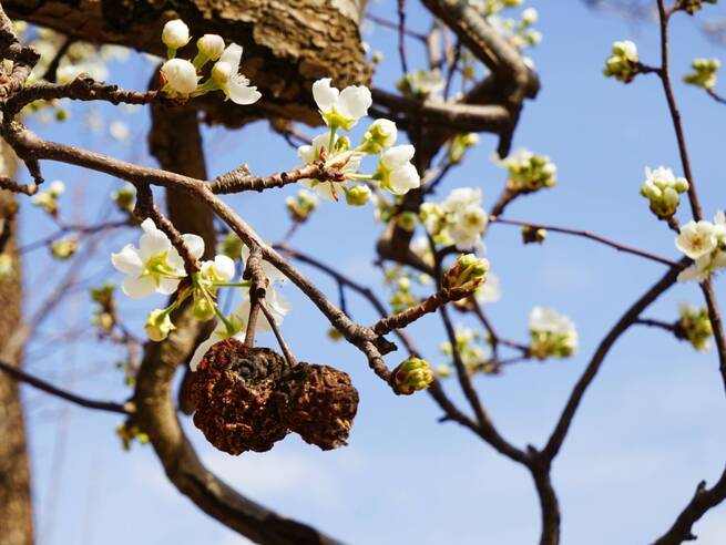 B49B4ED6A4B4486BAFE9863B4015F3EA B49B4ED6A4B4486BAFE9863B4015F3EA